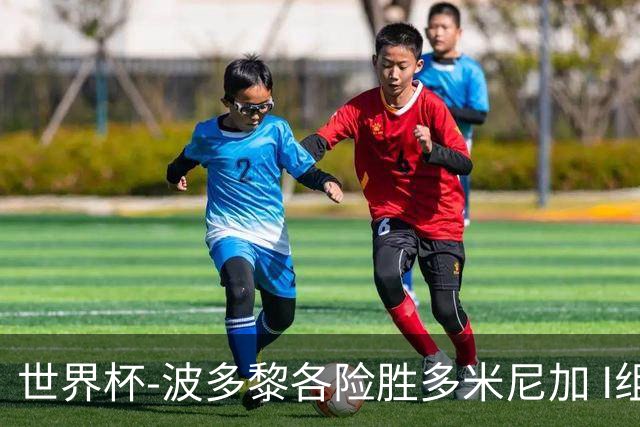 世界杯-波多黎各险胜多米尼加 I组4队均3胜1负